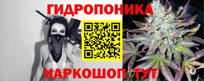 spice Будённовск