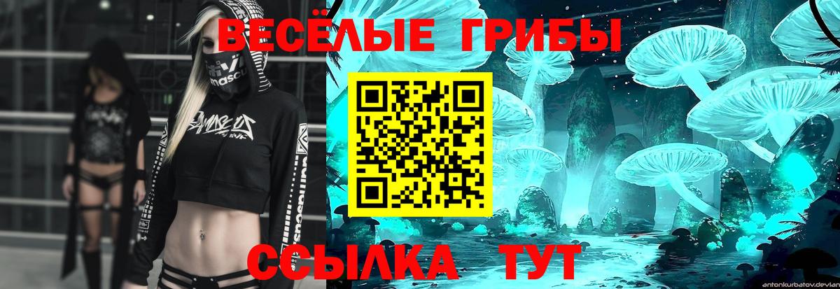 Чайковский  Галлюциногенные грибы прущие грибы  Вход с VPN 